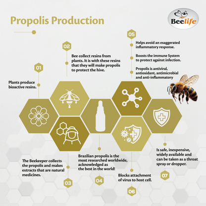 Beelife Green Propolis 15% Dry Extract 1.01fl.oz/30ml